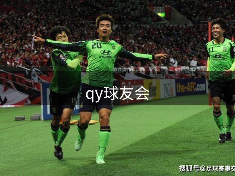 了解qy球友会