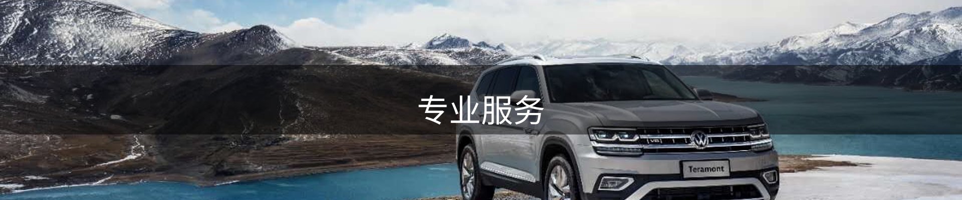 专业服务